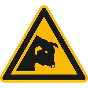 Warnschild | Warnung vor Stier 11.A8270 Warnschild | Warnung vor Stier