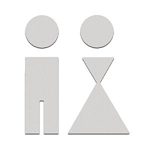 Phos Piktogramm aus Edelstahl | Toilettenschild mit Symbol WC Damen und Herren