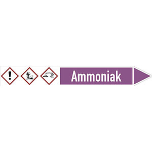 SafetyMarking Rohrleitungspfeil mit GHS-Symbol | Ammoniak rechtsweisend 30.4193 SafetyMarking Rohrleitungspfeil mit GHS-Symbol | Ammoniak rechtsweisend